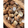Seeds4planting - Spores Porcini Mushrooms Mycelium Seeds Non GMO