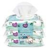 Parent's Choice Gentle Clean Fragrance-free Unscented No Scent Baby Wet