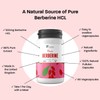 Lifetropics Lifetropics Pure Berberine | 500mg Berberine HCL Capsules |