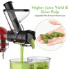 Masticating Juicer Attachment for KitchenAid Stand Mixer, Slow Juicer Attachment,