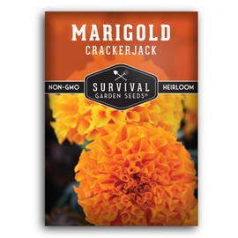 Survival Garden Seeds - Crackerjack Marigold Seed for Planting - 1 Packet with Instructions to Plant & Grow in Your Home Vegetable Garden - Non-GMO Heirloom Variety