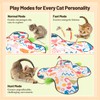 Pitycbo Interactive Cat Toys, Automatic Hide and Seek Cat Toys
