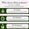 MICROBZ Sleep Liquid Probiotic – Multi-Strain Live Cultures for Gut