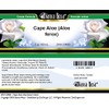 Cape Aloe (Aloe ferox) Cream (2 oz, ZIN: 514690) -