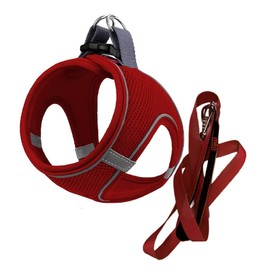 MITA Dog Harness and Leash Set - Puppy Harness - Cat Harness - Comfortable Step-in Big & Small Dog Harness, Breathable and Multi Weather Mesh Escape Proof Dog Harness - Secure & Comfortable