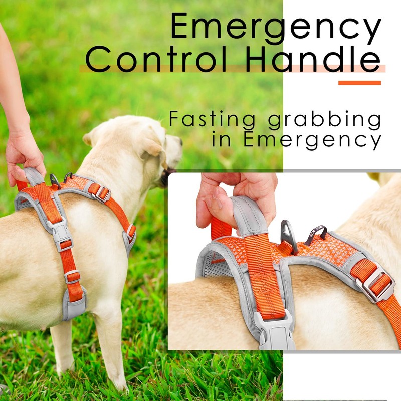 ThinkPet Dog No-Pull Sports Harness with Handle, for Medium and