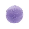 Webbox Fun & Squeaky Balls (4 Pack) - Boredom Buster