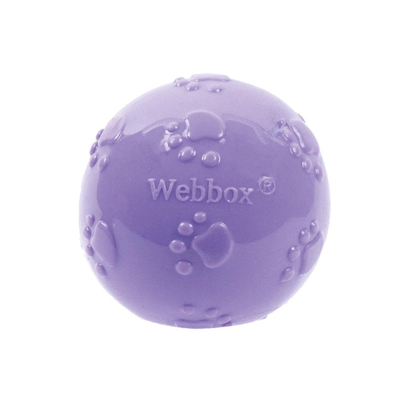 Webbox Fun & Squeaky Balls (4 Pack) - Boredom Buster