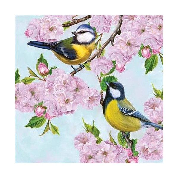 20 Napkins Blue Tits on Cherry Branches Birds Animals Spring