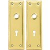 Pair of Brass Plated New York Style Back Plates with