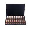 Pure Vie Professional 120 Colors EyeShadow Palette Makeup Contouring Kit