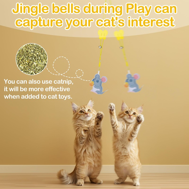 RAINFLOW 4 Pcs Cat Feather Toys -Interactive Cat Toys for