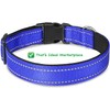 Strong Bright Reflective Dog Puppy Collar, Soft Padded Lightweight, Fully