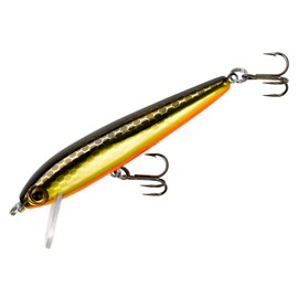Rebel Lures Tracdown Minnow Slow-Sinking Crankbait Fishing Lure - Great for Bass, Trout and Walleye, Slick Gold Minnow, 2 1/2 in, 5/32 oz (TD50495)