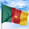Cameroon Outdoor Flag (1x1.5ft) by DreamController - Durable, Fade-Resistant Polyester,