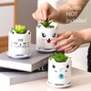 Set of 6 4.25inch Small Ceramic Animal Succulent Planter Porcelain