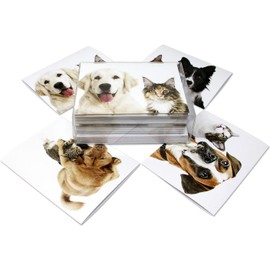 Small World Greetings Furry Friends Note Cards 12 Count - Blank Inside with White Envelopes - A2 Size 5.5" x 4.25" - Dog and Cat Stationery - All Occasion Birthday, Thank You, and More