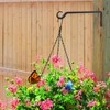 AILIN YELOKIE 12inch 4 Pack Plant Hanger, Sturdy Hanging Plant