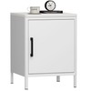 Steehoom Nightstand with 1 Door, Metal Side Table with Wooden