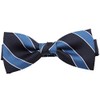 [8] Striped Bow Tie with Polka Dots, H / blue