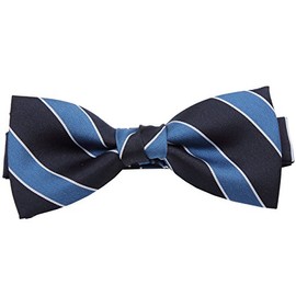 [8] Striped Bow Tie with Polka Dots, H / blue x navy blue (silver) stripe