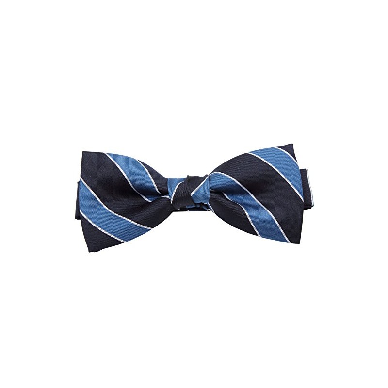 [8] Striped Bow Tie with Polka Dots, H / blue