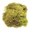 Glorex 6 3803 605 Iceland Moss, 50 g, Light Green,