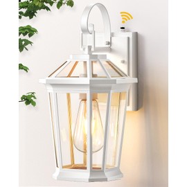 VIANIS Outdoor Porch Lights - Dusk to Dawn Exterior Wall Lights, 100% Anti-Rust Aluminum Waterproof, White Sconce Lanterns for Garage