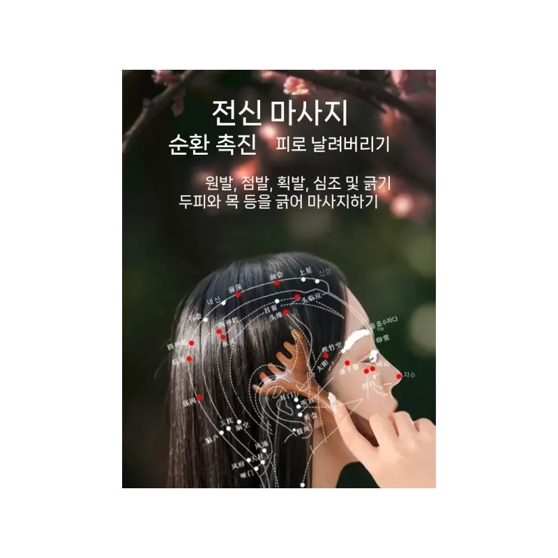 사슴뿔 승모근 근육 괄사도구 안마기 순환 바디 [튼튼한 1개] Deer