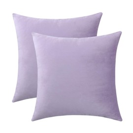Jeneoo Set of 2 Comfy Soft Velvet Throw Pillow Cases for Sofa Couch, Decorative Solid Square Cushion Covers for Bedroom Car (14 x 14 Inches, Lavender)