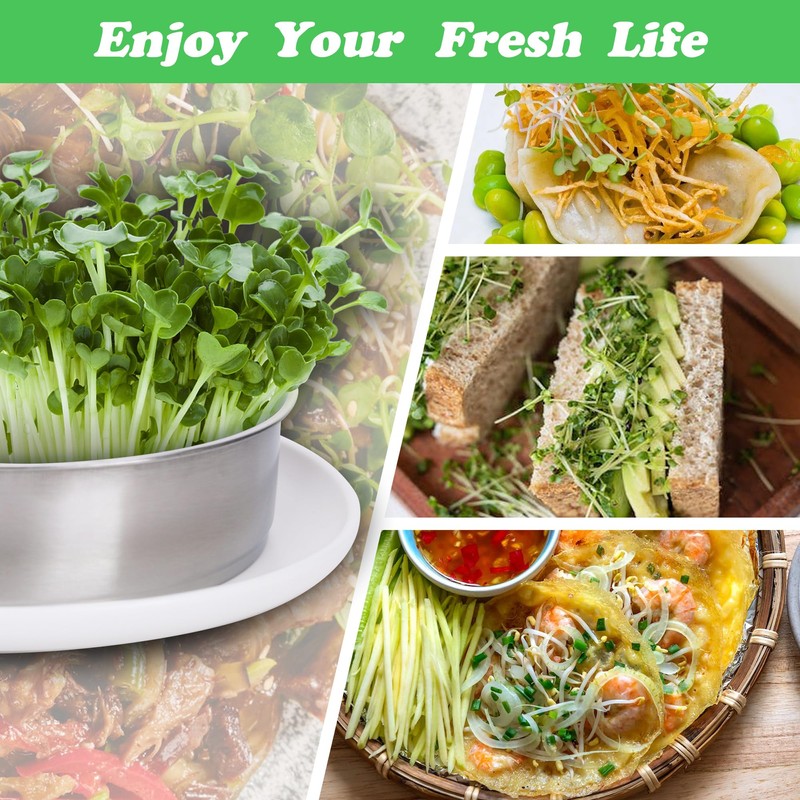 EBaokuup 5-Tier Stainless Steel Seed Sprouting Tray Kit-8.6" x 8.3"