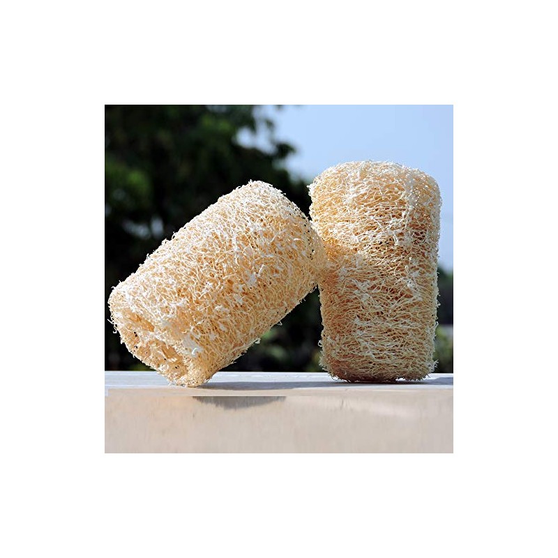 HealthGoodsIn - Esponja de baño natural de lufa orgánica, juego
