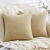 GAWAMAY Decorative Square Throw Pillow Covers 20x20 Inch Set of