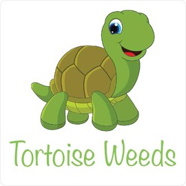 Tortoise Weeds Sticker | Tortoise Food Sticker | Use on Weed Boxes | 100mm x 100mm