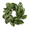 American Best Christmas Quality Magnolia Leaf Grapevine Wreath 16"