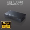 Sanwa Supply LAN-GIGAP1602BK Gigabit Compatible Switching Hub (16 Ports, Magnet)