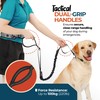 PORTENTUM Laisse canicross Chien, Main Libre Chien, Anti-tirons, pour Ceinture,