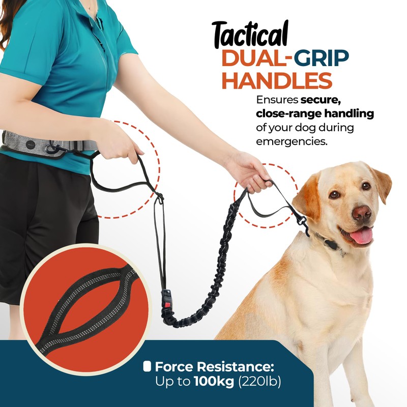 PORTENTUM Laisse canicross Chien, Main Libre Chien, Anti-tirons, pour Ceinture,