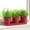MoFarbe Herb Pots for Kitchen & Windowsill | Kitchen Herb