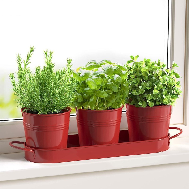 MoFarbe Herb Pots for Kitchen & Windowsill | Kitchen Herb