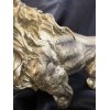 SHTWX 14" Golden Lion Sculpture Resin Collectible statue SHIPS LOCALLY!