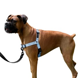 ShawnCo Dream Walk No-Pull Dog Harness- Adjustable, Comfortable, Easy to Use Pet Halter to Help Stop Pulling for Small, Medium and Large Dogs (Moonglow, L)
