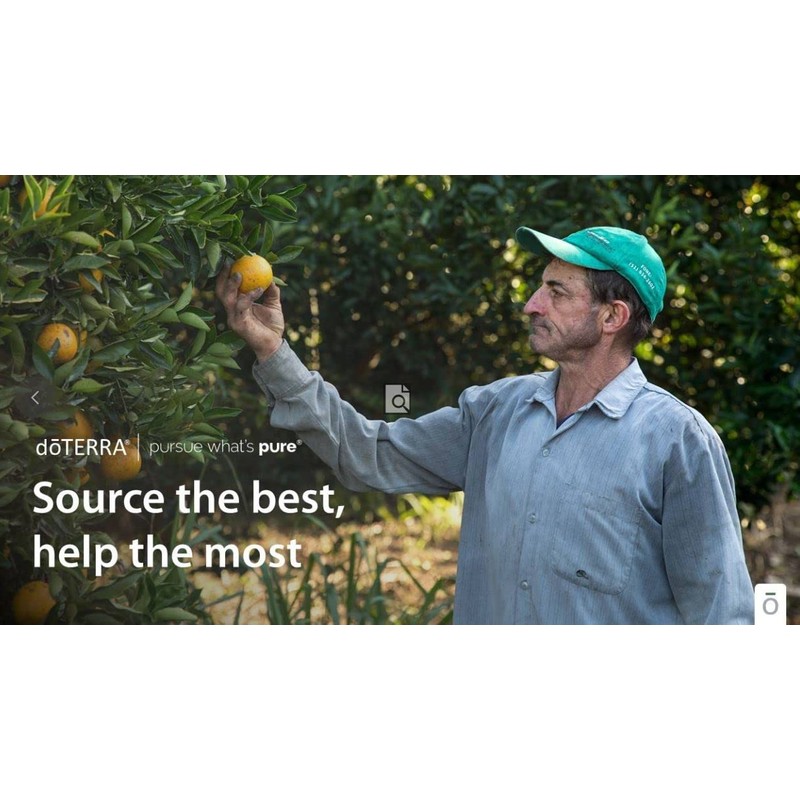 doTERRA Wild Orange Essential Oil - 15 mL, Pack of