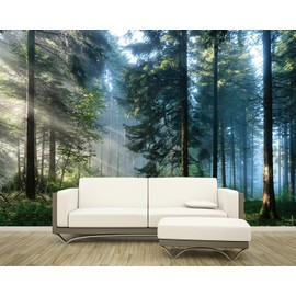 Fightal - Forest Fabric Wallpaper Tropical Rainforest Jungle Woods Wall Mural Bedroom Woodland Tree Nature Landscape 108“x75（not Peel and Stick）