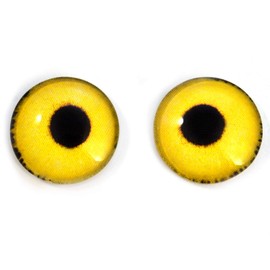 Bright Yellow Sparrow Hawk Glass Eyes Realistic Bird Animal Pair for Art Doll Parts, Sculpture, Prop, Mask, Fursuit, Jewelry Making Cabochons, Taxidermy Supplies, and More (14mm)