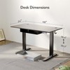 Seang Standing Desk with Drawer, 48" x 24" Height Adjustable