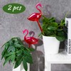 Self-Watering Glass Globes 2PCS Flamingo Gradient Hot Pink 10" Long