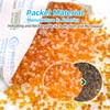 Wisesorb 200 Gram [10 Packs] Desiccant Packs, Indicating Silica Gel,