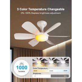 ANGELHALO Ceiling Fans with Lights - 20" Low Profile Flush Mount 2-in-1 Fan Light with Remote/APP Control, DC Reversible, 6 Speeds, Quiet, Dimmable 3000K–6500K LED for Bedroom/Living Room