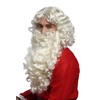 WIG ME UP - 46-A+B-ZA613 Wig and Beard Set Deluxe